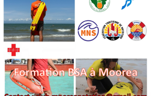 Examen - BSA #1 2026 - Papeete