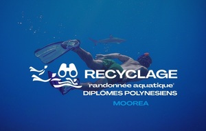 MOOREA - TEST de recyclage des diplômes professionnels de randonnée aquatique